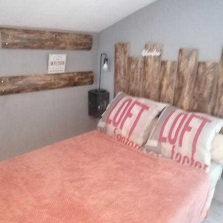 Chambre 23M2 Avec Jardin Wi-Fi Gratuit Saint-Girons Appartement Buitenkant foto